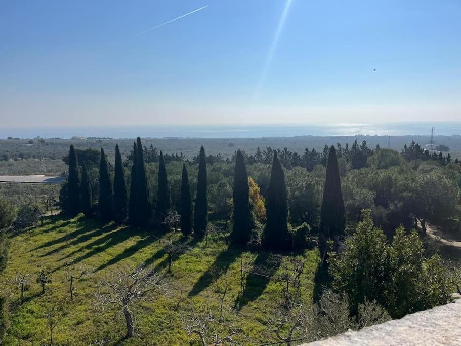 Casa Masseria Dell'800 Gargano. Le Mignole 몬테산탄젤로 외부 사진