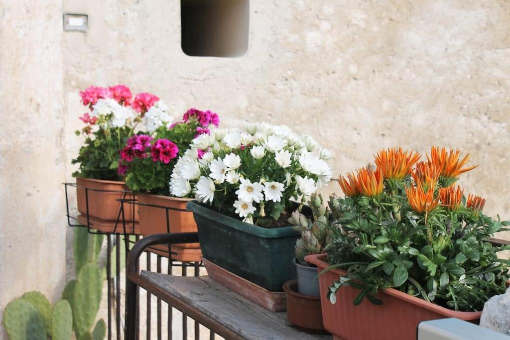 Casa Masseria Dell'800 Gargano. Le Mignole 몬테산탄젤로 외부 사진